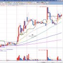 주식 12운성 매매법 * 30분챠트 50% 이미지