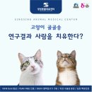 송 동물의료센터 이미지