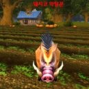 루트90