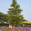 상암자동차공업사 이미지