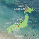 부흥카부분정비 | 오키나와 렌트카 후기(내돈내산)｜초보운전이 직접 운전해본 솔직 후기