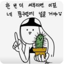 다이스웍스 네이버블로그