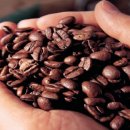 커피볶는마을 이미지