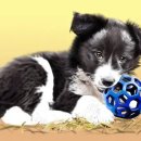 우리집변화 프로젝트_정리의 기술(야간) 이미지