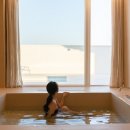 사시산색 이미지