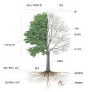 뉴홈케어 - 파주시 솥뒤로33번길 34 | 길음뉴타운 두피케어 후기 ｜ 두피 건강의 변화, 이너뷰티