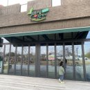 도도리파크(실외) 이미지