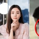 봄CCTV 이미지