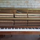 당리동-3 이미지