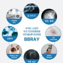 비비그루밍 이미지