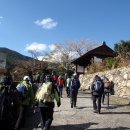 대마도 아리아케산(有明山 558.20M) 산행 이미지