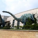 우항리 공룡화석: 공룡 시대 여행 이미지