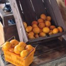 한라가든 이미지