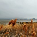 군모들농장 이미지