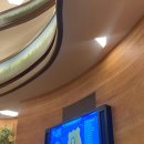 주영자동차서비스 | 🎡럭키걸들의 행운이 가득했던🎢 상하이 여행 : 2편 - 상하이 디즈니랜드는 미키보다 주디 그리고 집으로!