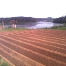 빛들마을 이미지