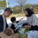 은어송이테마공원 이미지