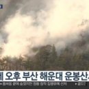 쌍용정비공업사 네이버블로그
