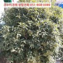 회원동139 이미지