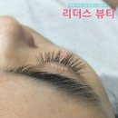 시크래쉬