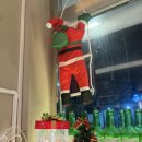 장터옛날통닭함덕점 이미지