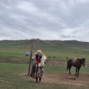 노마딕(nomadic) | [몽골여행] 1~2일차 ! 아르갈란트 게르 숙소 (Mongol Nomadic Tourist Camp) + 9월 날씨, 환전, 마트