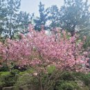 모라백양공원 이미지