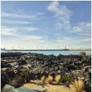 바당쿰다 이미지