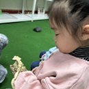 보들농장 이미지