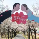 시청별관앞 꽃보라동산 이미지