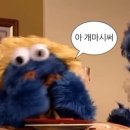 타랑 이미지
