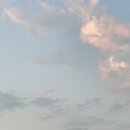 소금까페 이미지