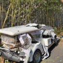 포항컨트리클럽 이미지