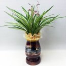 일흥꽃집 이미지