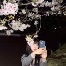 하나미