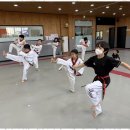 백석 더 혼 태권도 이미지