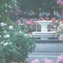 협재의바람 이미지