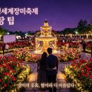 장미모텔 | 밤이 더 아름다운 2026 곡성 장미축제! 야간 개장 꿀팁 &amp; 로맨틱 데이트 코스