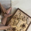 숲소리어린이집 | [돌아기 장난감 추천] 숲소리 낚시놀이 원목교구 세트 후기