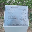 석양을 품은 물고기 이미지