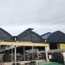 광선축사 이미지