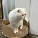 (주)율도국