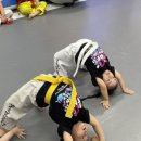 글로벌 파워점핑 줄넘기&태권도 이미지