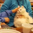 놀자스토리