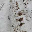 종근농장 이미지