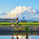 여름동화 이미지