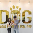 크림푸들 가족이야기 이미지