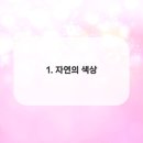 시도네일