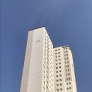 소담동_새샘316동건너편 | 세종 소담동 새샘마을 2단지 임장