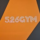 526 | 수원 오목천동/526짐/일일권 샤워실 몬스터글로우 후기